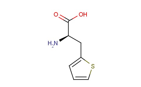 3-(2-Thienyl)-D-alanine
