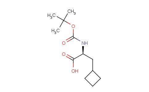 (2S)-3-cyclobutyl-2-[(2-methylpropan-2-yl)oxycarbonylamino]propanoic acid
