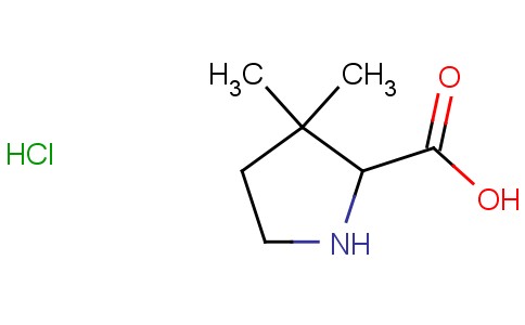 3,3-dimethylpyrrolidine-2-carboxylic acid hydrochloride