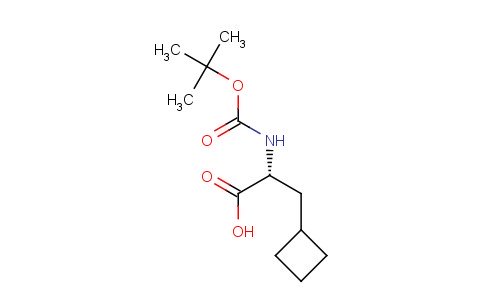BOC-D-CYCLOBUTYLALANINE